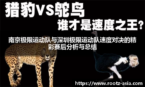 南京极限运动队与深圳极限运动队速度对决的精彩赛后分析与总结
